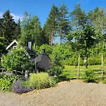 Salonkylae *